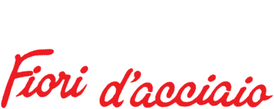 Fiori d'acciaio