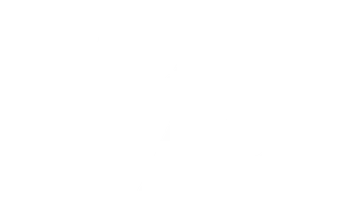 No Bears